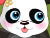 Lovely Panda Dress Up