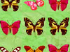 Butterfly Match Game