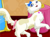 Cutie Cat Dress Up Game
